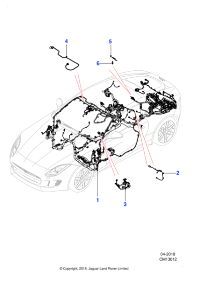 T2R51031 - Jaguar Body harness