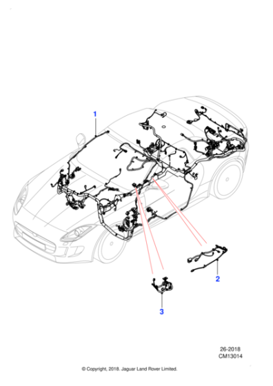 T2R51021 - Jaguar Body harness