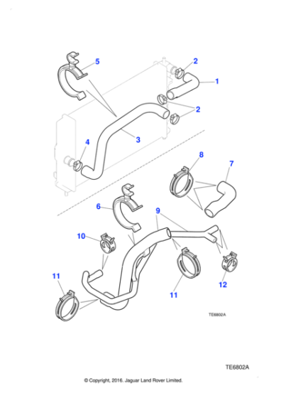 MJA4515AD - Jaguar Bottom hose
