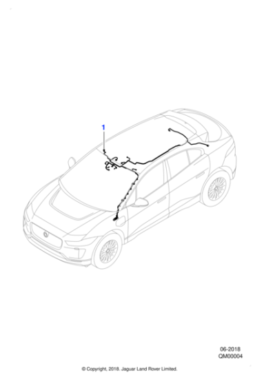 T4K7261 - Jaguar Roof harness