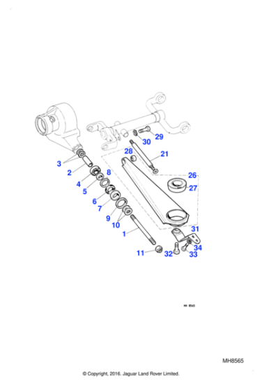 C19134 - Jaguar Safety strap