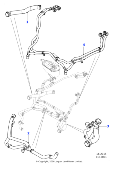 T2R15874 - Jaguar Bottom hose