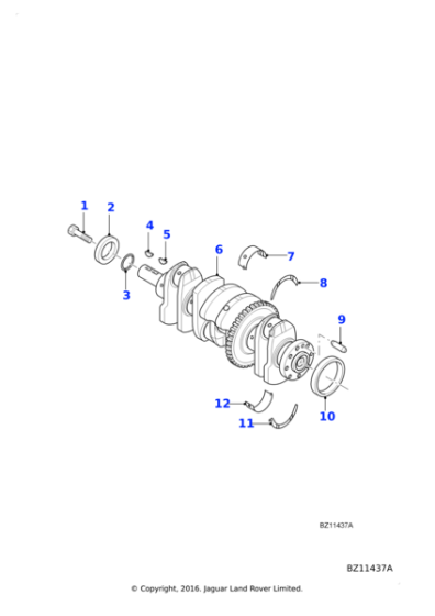 XR858317 - Jaguar Bearing - Crankshaft Main