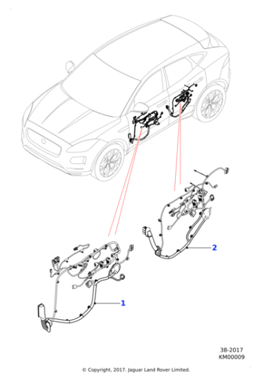 J9C13592 - Jaguar Door harness