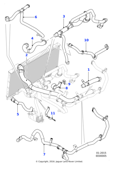 T2H3412 - Jaguar Bottom hose