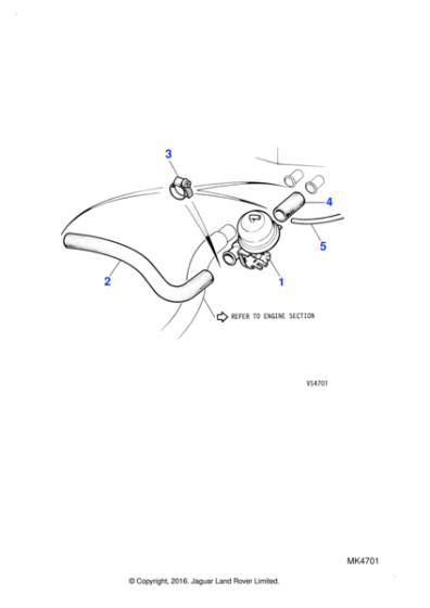 C427991 - Jaguar Hose - Vacuum