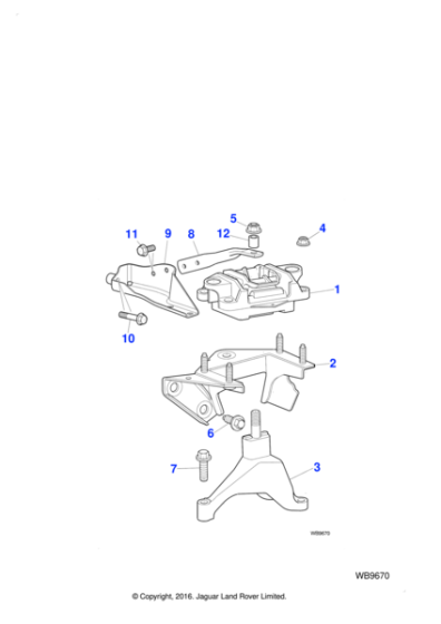 C2S45287 - Jaguar Bolt