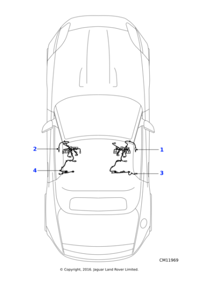 T2R12310 - Jaguar Driver's seat harness