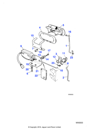 AEU1587 - Jaguar Ring
