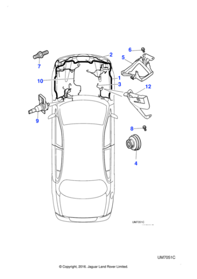 XR855536 - Jaguar Harness