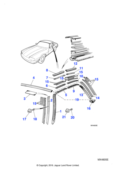 BEC14505 - Jaguar Lokut nut