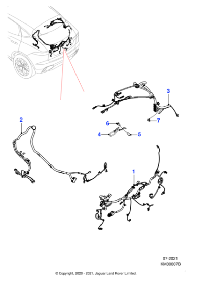 J9C22607 - Jaguar Harness