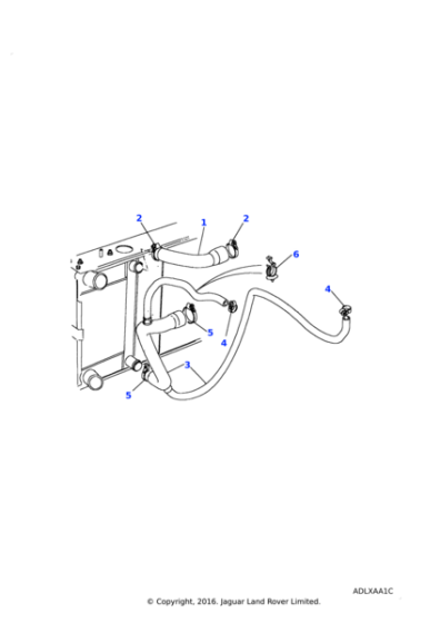PCH119060 - Land Rover Hose-radiator bottom coolant