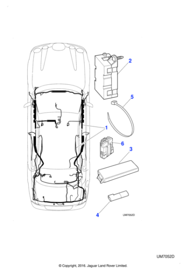 XR851705 - Jaguar Body harness