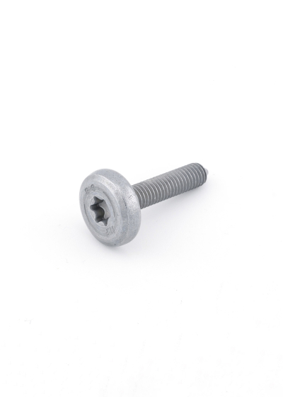TYP500050 - Land Rover Screw