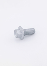 FS108186 - Land Rover Screw