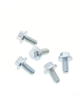FS108161L - Land Rover Screw