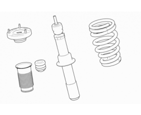 Road Spring And Damper-Rear