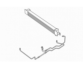 Oil Cooler-Engine