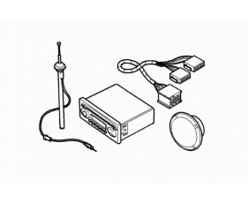 In-Car Entertainment